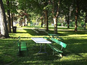 P1013914.JPG